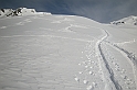 DSCN3774