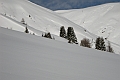 DSCN3929