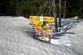 DSCN4206