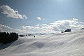 DSCN4207