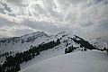 DSCN4218