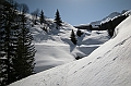 DSCN4246