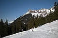 DSCN4284