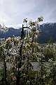 DSCN4483