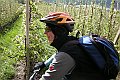 DSCN4500