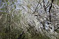 DSCN4502