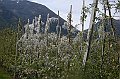 DSCN4506