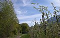 DSCN4508