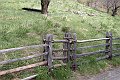 DSCN4523