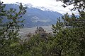 DSCN4541