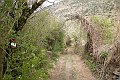 DSCN4573