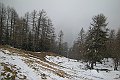 DSCN4607