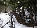 DSCN4609