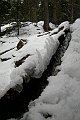 DSCN4611