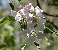 IMG_6798