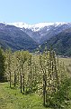 IMG_6809