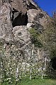 IMG_6810
