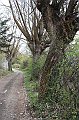 IMG_6834