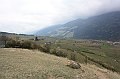 IMG_6837