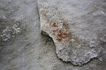 IMG_6843