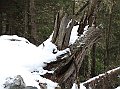 IMG_6863