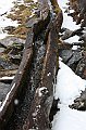 IMG_6875