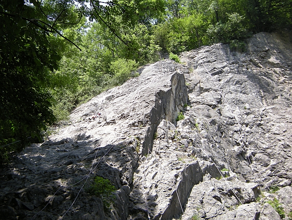 DSCN4849