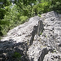 DSCN4849