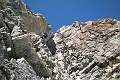 DSCN5932