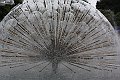 IMG_7485