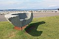 IMG_7507