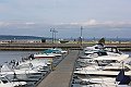 IMG_7515