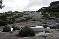 DSCN5141