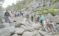 DSCN5219