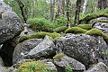 IMG_7790