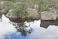IMG_7881