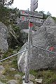 IMG_7882
