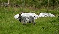 DSCN4902