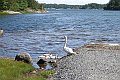 DSCN5040