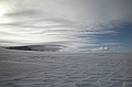 DSCN4195