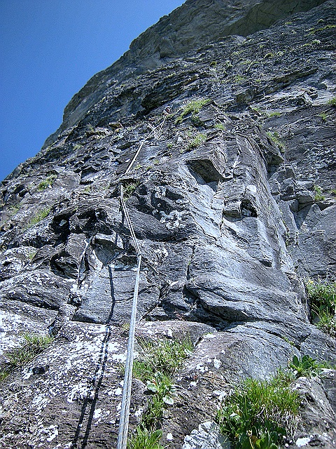 DSCN7910.JPG - 1. Seillänge ganz botanisch