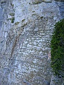 DSCN7901