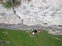 DSCN7912