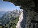 DSCN7941
