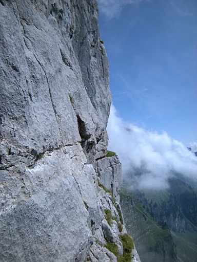 DSCN8817.JPG