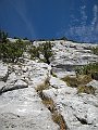 DSCN8925
