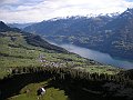 DSCN8953