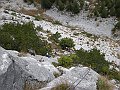 DSCN8960