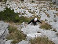 DSCN8965