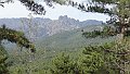 DSC05390